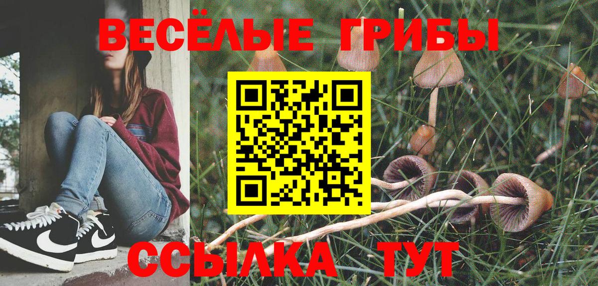 Холмск  Псилоцибиновые грибы Psilocybe  Вход с VPN 